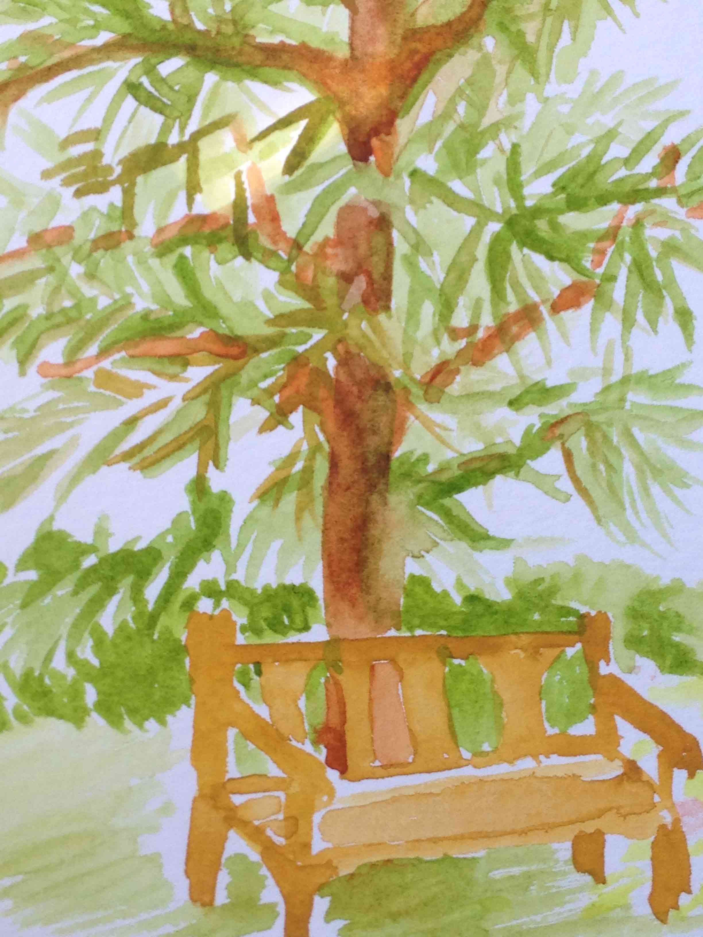 watercolor painting of a monkey puzzle tree